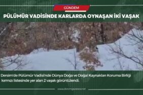 iki vasak manset