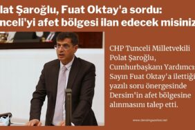 polat saroglu