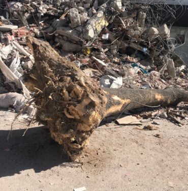 WhatsApp Image 2023-03-18 at 17.03.07 (1)