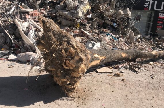 WhatsApp Image 2023-03-18 at 17.03.07 (1)