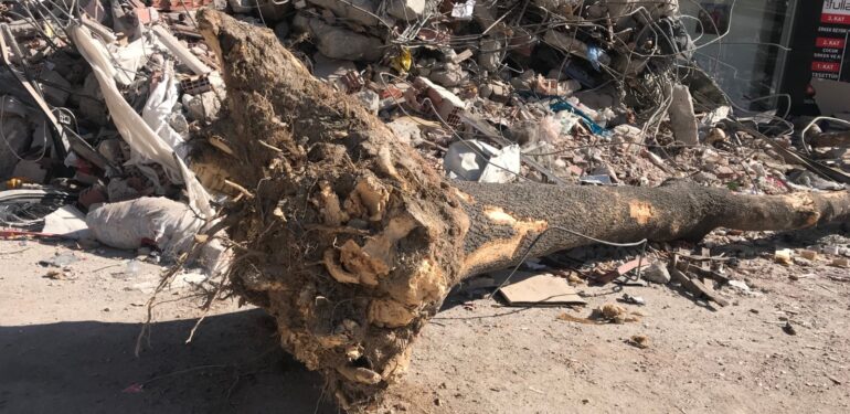 Deprem İzlenimleri – 2: Pazarcık-Adıyaman-Nurhak: Hayat bozuk bir saat gibi durmuş burada