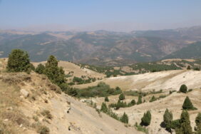 hozat