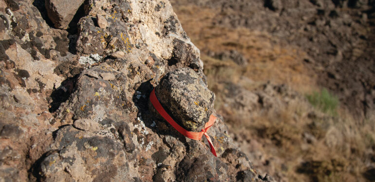 Bu sergide Munzur var, dağdaki keçi, gökteki ay, sudaki balık var