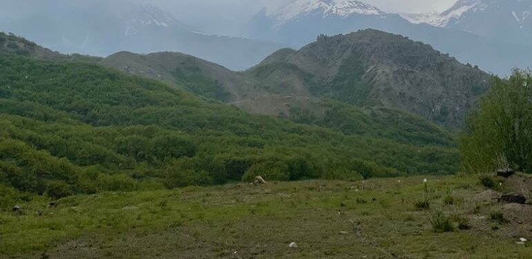 Munzur dağlarında krom madenciliği saldırısı: 2 Haziran günü keşif yapılacak