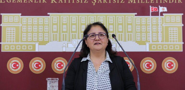 Dersim Milletvekili Kordu’dan “havaalanlarında Kürtçe hizmet verilsin” talebi