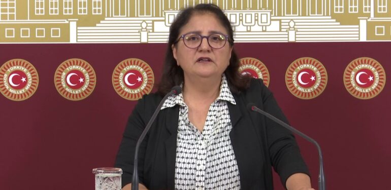 Yeşil Sol Parti Dersim Milletvekili Ayten Kordu: Dersim isminin iade edilmesini istiyoruz