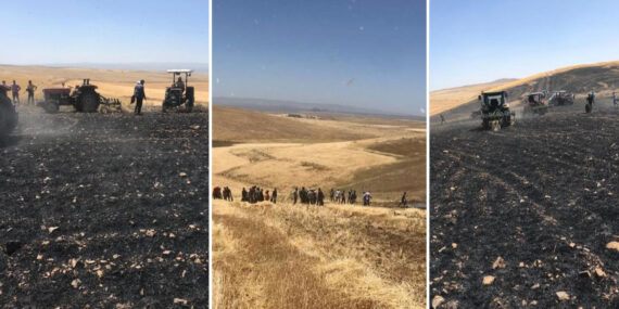 Biçerdöverden yangın çıktı! 100 dönümlük buğday tarlası küle döndü!