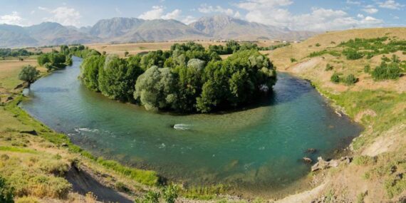 Dersim’de ormana girişler ve ateş yakmak yasaklandı