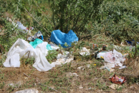 Ekran görüntüsü 2023-07-17 135313