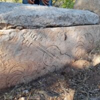 Resim-3 Kemençeli ve devri daim gülü