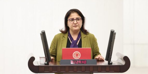 Kordu, Valiliğe ve bakanlığa sordu: Dersim’deki köy yollarını yapmak için ne bekliyorsunuz?