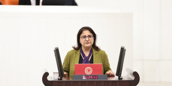 Ayten Kordu, Mazgirt’te çocuğa yönelik cinsel istismarı Meclis’e taşıdı