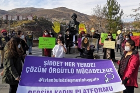 690x390cc-drsm-23-11-2023-dersim-kadin-25-kasim-cagri