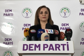 aysegul-dogan-dem-parti-