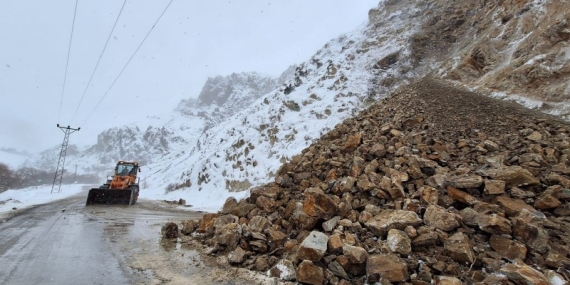 Dersim’de dağdan kopan kaya parçası öldürdü