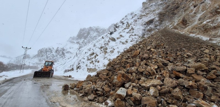 Dersim’de dağdan kopan kaya parçası öldürdü