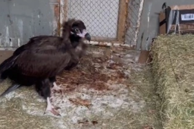 Ekran görüntüsü 2024-01-05 185742