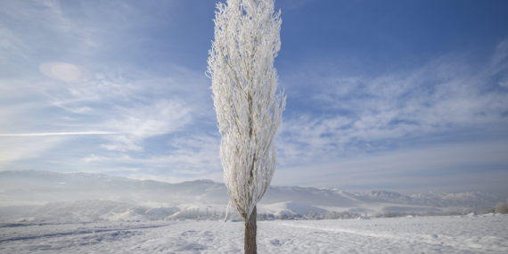 Ovacık’tan kırağı görüntüleri
