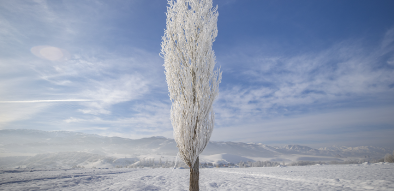 Ovacık’tan kırağı görüntüleri