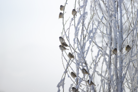 Ekran görüntüsü 2024-01-19 115428