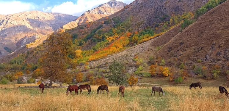 Munzur Vadisi, Türkiye’nin ilk 100 jeolojik miras alanına dahil edildi