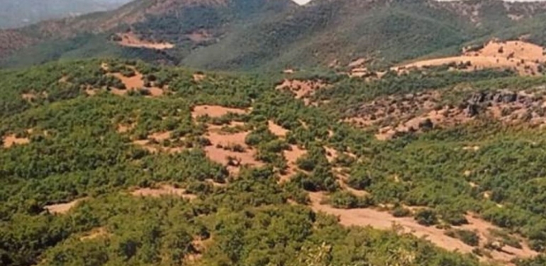 DEVA Partili Rızvanoğlu, Sütlüce Katı Atık Projesini TBMM’ye taşıdı