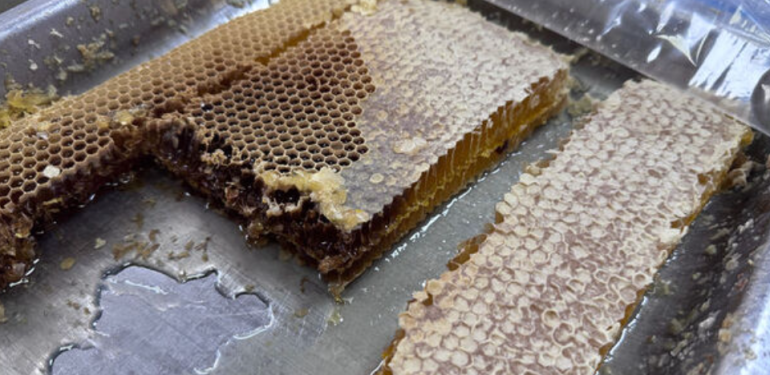 ‘Munzur balı’na coğrafi işaret