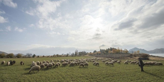 Erzincan’da mera alanlarının sera projesine dönüştürülmesi Meclis’e taşındı