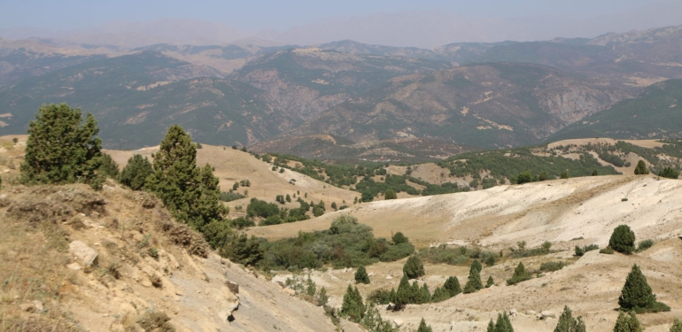 Dersim’de Sarı Saltuk ve Ali Boğazı bölgesinde maden projesi için ağaç kesimi yapıldı