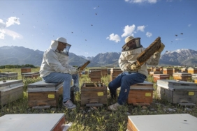 thumbs_b_c_d726d05447434216346b54c8eb71a53f