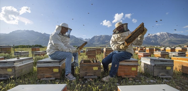 Dersim’de arıcılar için yayla zamanı