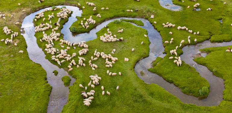 Deveçukuru Yaylası hayat veriyor