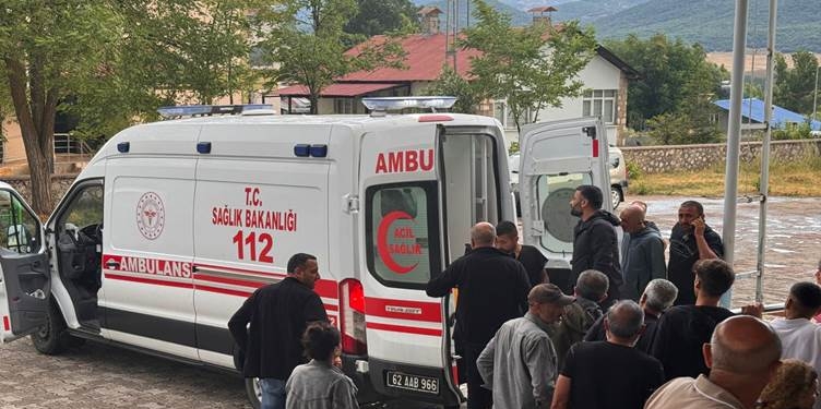 Ovacık’ta yıldırım vakası: 2 kişi yaralandı, çok sayıda hayvan öldü