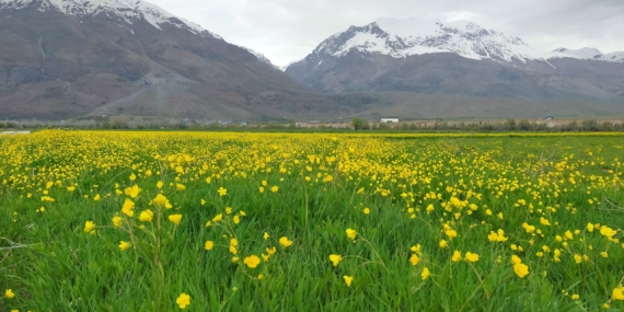 Dersim sadece Dersim değildir!