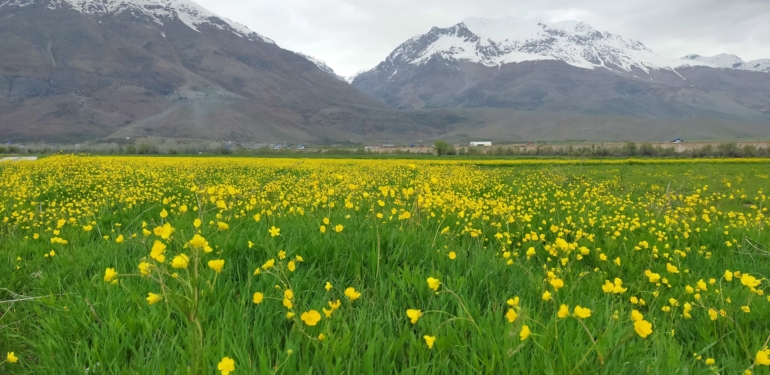 Dersim sadece Dersim değildir!