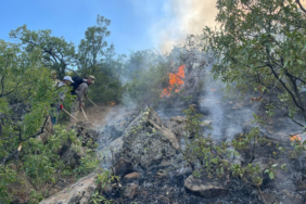 Ekran görüntüsü 2024-08-07 093449