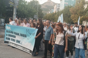 WhatsApp Image 2024-09-01 at 18.37.48