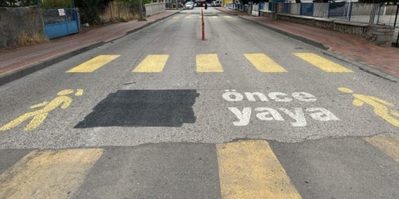 Karakoçan’da Kürtçe uyarı yazılarının silinmesine yönelik açıklama: Kürtler vardır