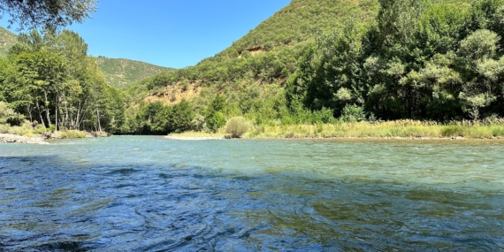 Munzur ve Pülümür kirli akıyor: Yetkililer önlem almalı
