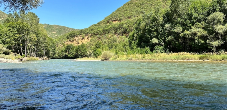 Munzur ve Pülümür kirli akıyor: Yetkililer önlem almalı