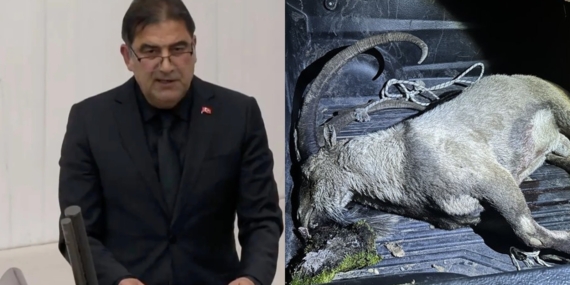 İYİ Partili Ünal Karaman, Dersim’de kaçak avlanırken yakalandı: Dağ keçisi öldürdü, para cezasına çarptırıldı