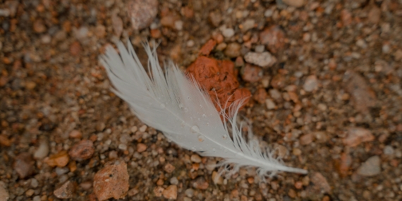 Kırıla kırıla yaşamak