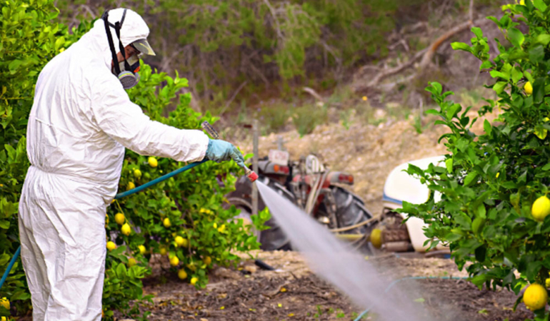 Pestisitler: Gizli Tehlike mi, Tarımın Kurtarıcısı mı? İşte Bilmeniz Gerekenler
