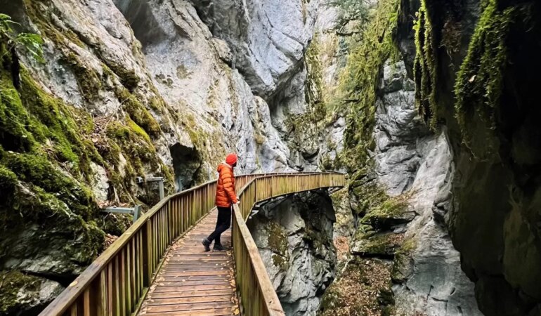 Doğa yürüyüşüne çıkmadan önce bilmeniz gerekenler