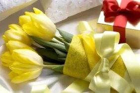 4808-sari-lalenin-anlami-nedir-sari-lale-ne-ifade-eder.jpg
