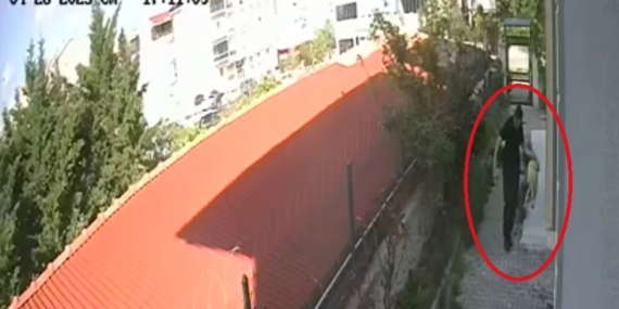 Sahiplendiği köpekleri öldüren doktor tutuklandı