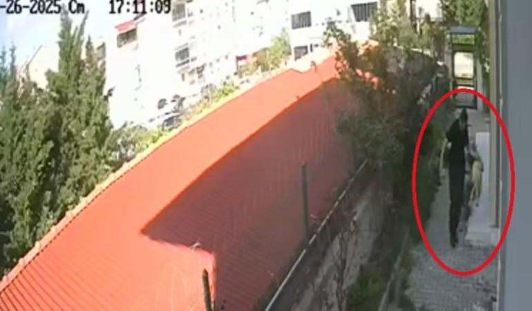 Sahiplendiği köpekleri öldüren doktor tutuklandı