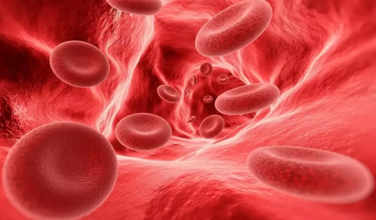 Hemofili hastalarına uyarı