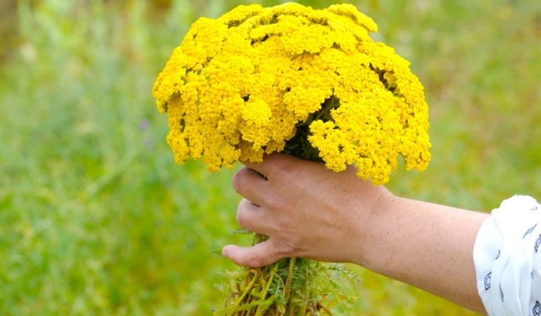 Cilt bakımında bu 7 doğal üründen kesinlikle kaçının