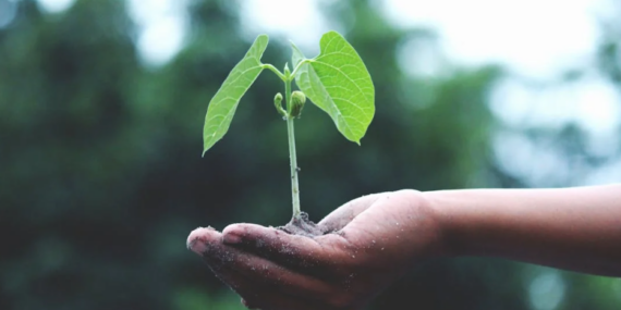 Değişiyor her şey…